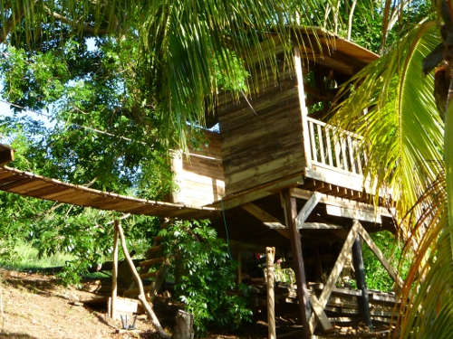 Jardins de cousinire - Chambre d'hte Guadeloupe - Cabane des aventuriers 